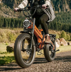 Foldable Electric Bike Up to 100Mile / 35mph